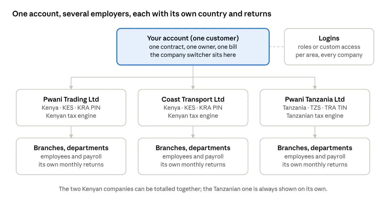 Diagram of how ERPsyncd organises a business group: one account, three registered companies in Kenya and Tanzania, each with its own branches, payroll and monthly returns